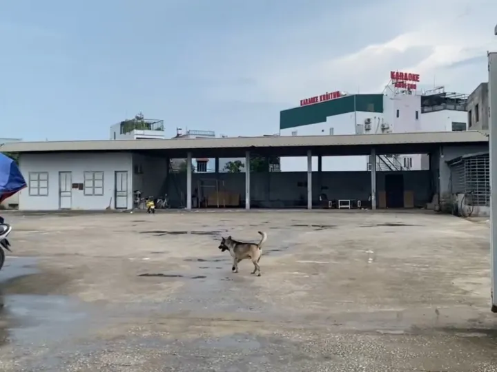 Bán quỹ đất 1.975m² công trình giao thông – Quảng Hưng, Thanh Hóa